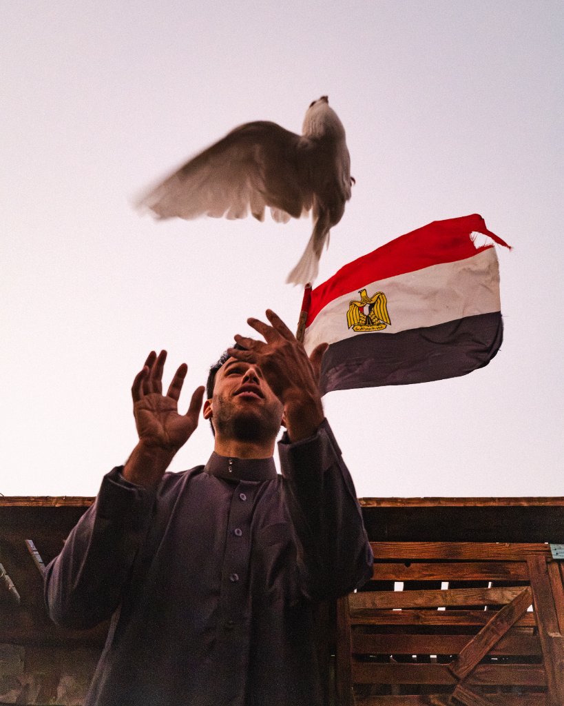 A man releases a white pigeon beside an Egyptian flag